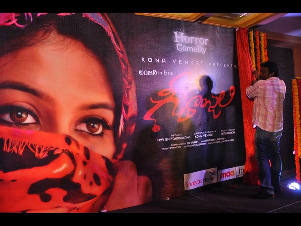 వివి వినాయక్ మాట్లాడుతూ...