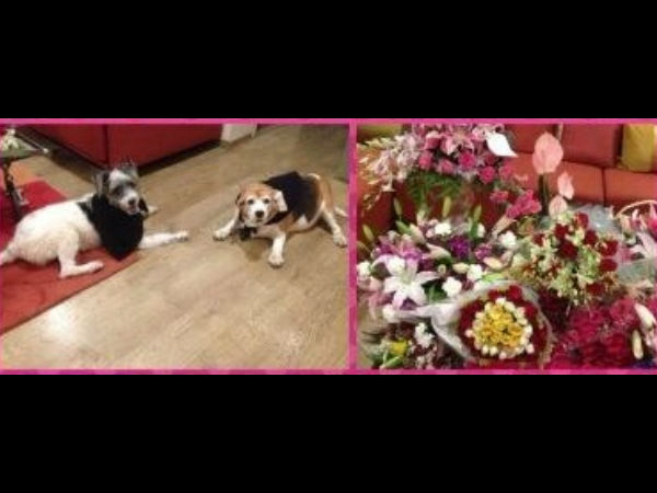 తెలుగులో...