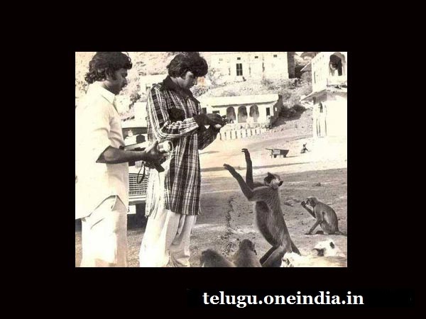 అమితాబ్ అండ్ లంగూర్స్