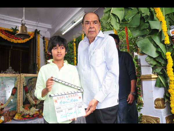 గోపాలా గోపాలా