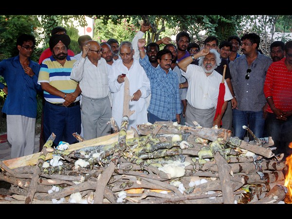 కామెడీ సైతం...