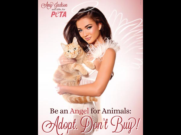 అమీ జాక్సన్