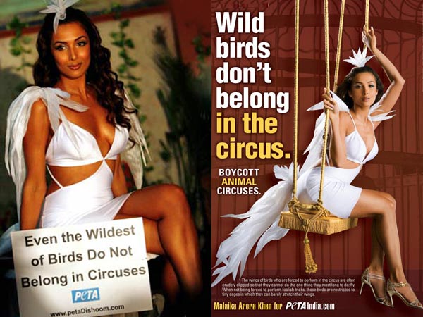 మలైకా ఆరోరా