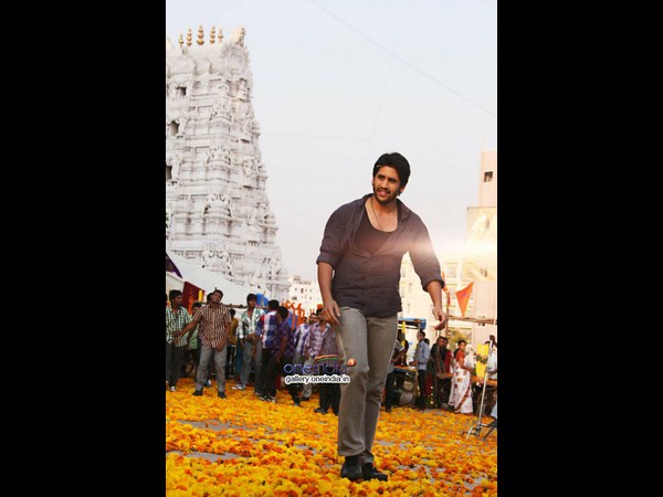 నాగచైతన్య