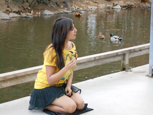 హీరోగా నిలబెట్టాలనే తాపత్రయం