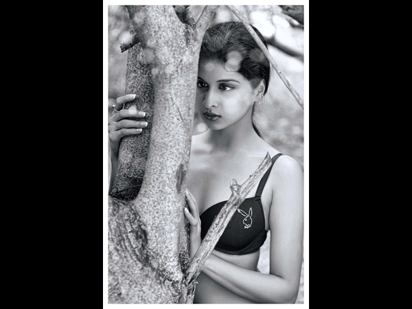 నెలకో ఐస్ క్రీమ్