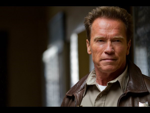 ఆర్నాల్డ్ స్వార్జ్ నెగ్గర్