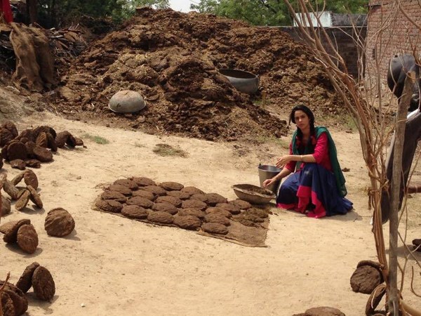 పిడకలు చేస్తూ...