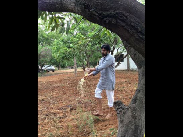 జీవామృతం