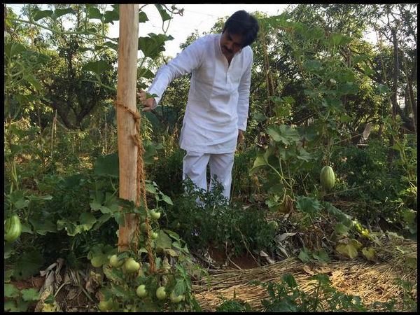 కూరగాయలు పరిశీలిస్తూ