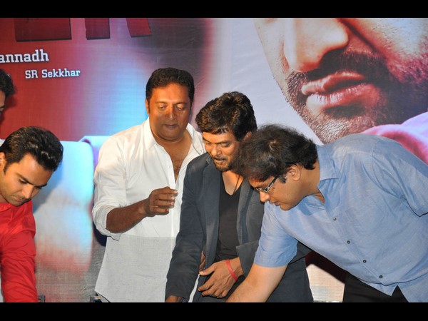 చిత్ర దర్శకుడు పూరి జగన్నాథ్ మాట్లాడుతూ....