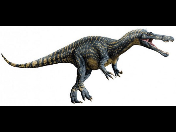 Metriacanthosaurus