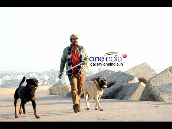 గాడ్సే పాత్రకు అభిమానులు ఫీలవుతారని భావించలేదా