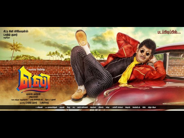 ఎలకే కరెక్టు...ఎందుకంటే