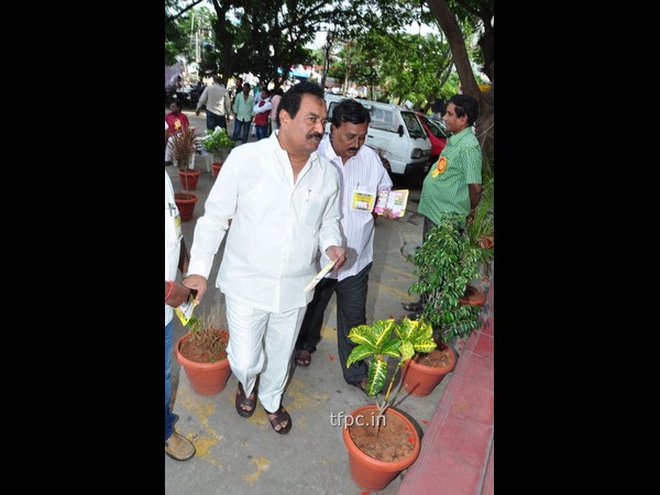 రెండేళ్లపాటు