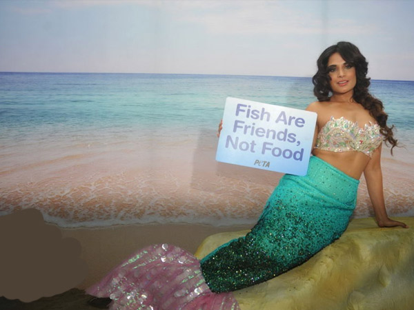 రీచా చద్దా