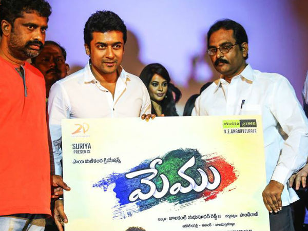 మనం-మేము