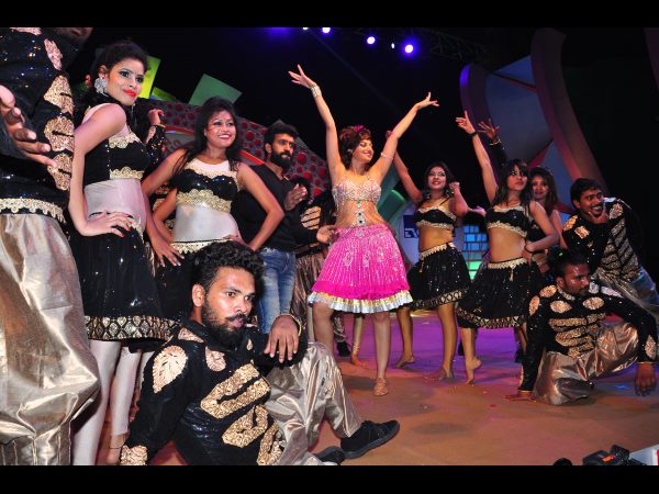 హంసా నందిని