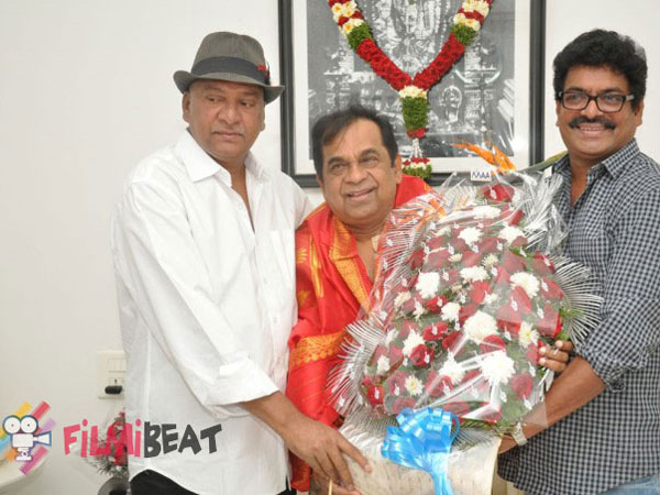 వివిధ పాత్రలు