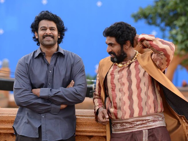 రేర్ ఫోటో