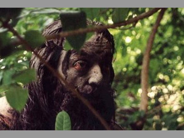 దీని గురించి కమల్‌హాసన్ మాట్లాడుతూ...