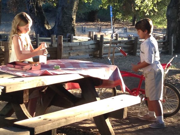 కథేమిటంటే