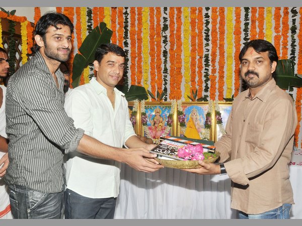 దర్శకుడిగా...