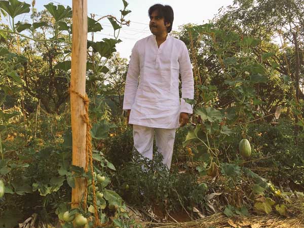 బాగానచ్చింది