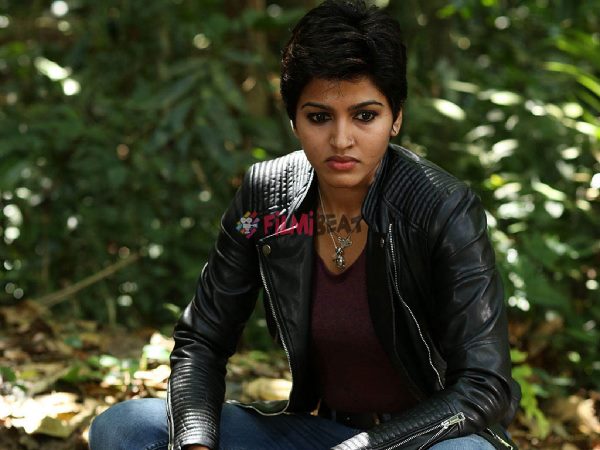 విలన్ గా తైవాన్ నుంచి..