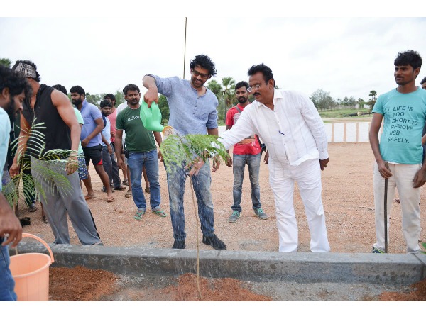 ఉషారుగా