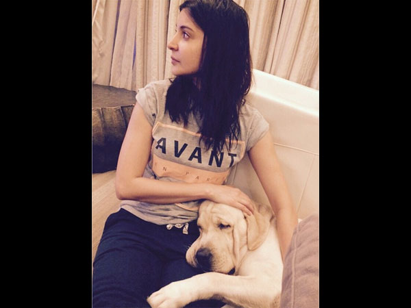  అమ్మేస్తున్నారు