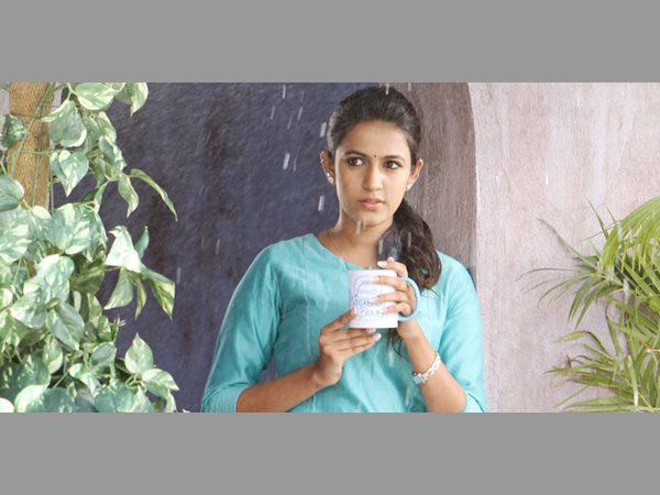 మెగా ఇమేజ్...