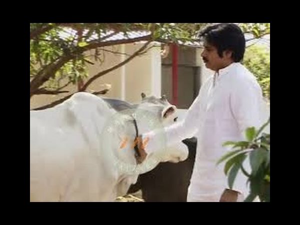 ఎవరికీ దొరక్కుండా