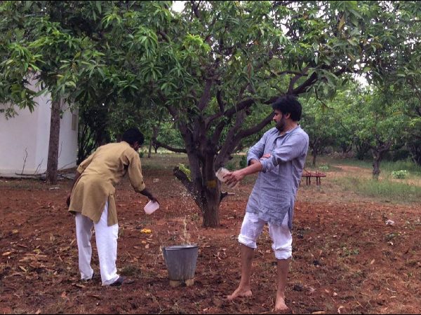 వ్యవసాయం