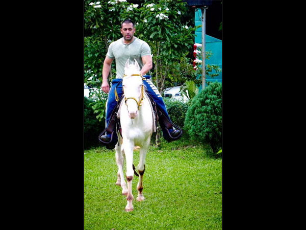 హే సుల్తాన్ ....