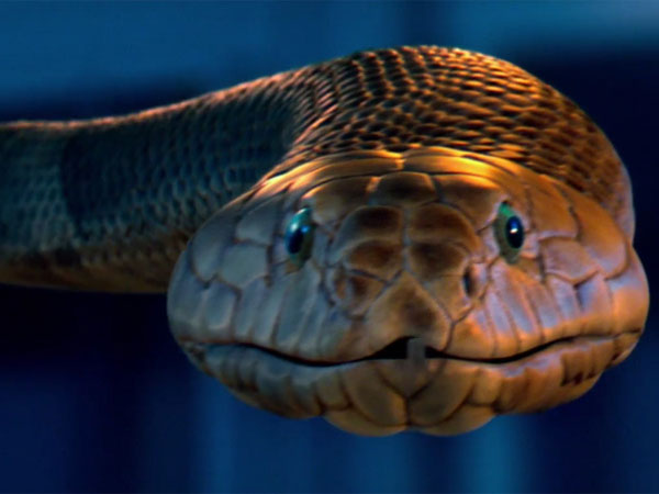 సరైన జాగ్రత్తలు తీసుకోకే