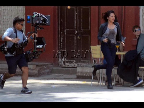 పిచ్చెక్కిపోయింది: 