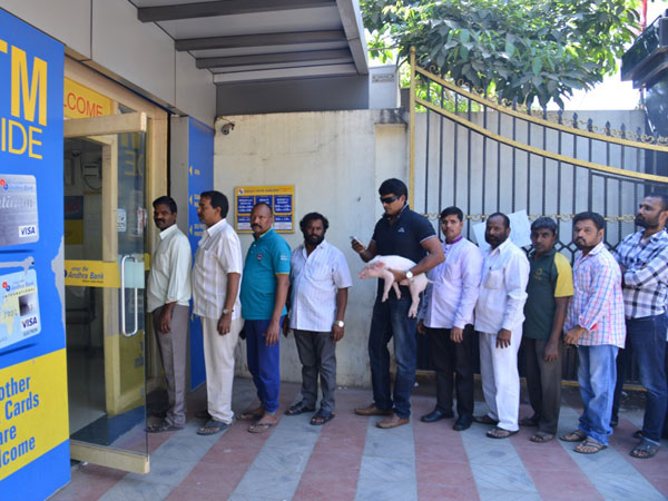 పందితో ఎందుకని...