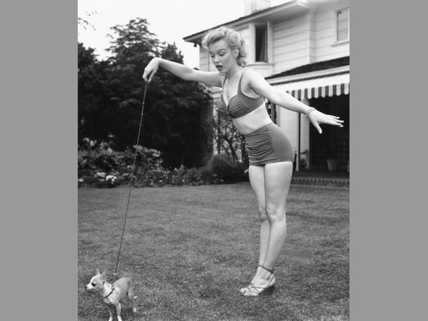 గాయాలు ఉన్నాయి