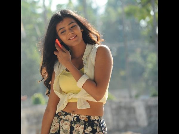 దర్శకుడు సినిమాను నడిపించిన తీరు