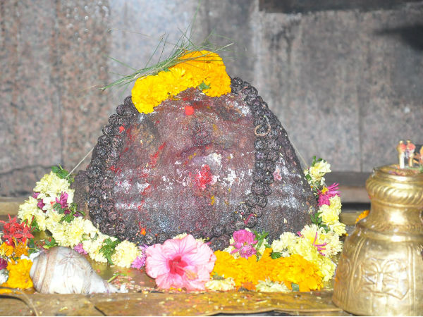 సింహం మీ మధ్యలో కూర్చుంది అంటూ మొదలు పెట్టిన క్రిష్