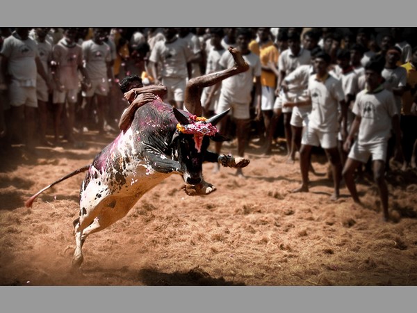 ఆహారం, మంచినీళ్లు : 