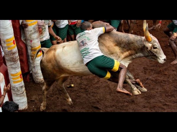  నిరసన గురించి: 