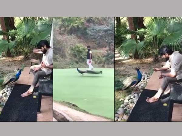 నా భార్యను చచ్చిపొమ్మన్నా: రామ్ చరణ్‌ను అవమానిస్తారా? .... పోసాని ఫైర్!