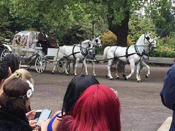 సన్యాసం వదిలేసి