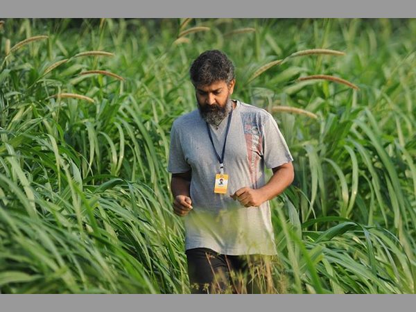 10 డాలర్ల లోపే 