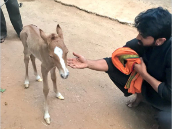 స్పెషల్ గిఫ్ట్