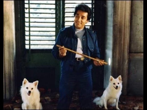 విచిత్ర సోదరులు