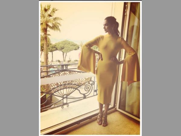 దీపిక నటించిన ట్రిపుల్ ఎక్స్: రిటర్న్ ఆఫ్ ఎక్సాండర్ కేజ్ చిత్రం హాలీవుడ్‌లో మంచి కలెక్షన్లను రాబట్టింది. ప్రపంచవ్యాప్తంగా ఈ చిత్రం రూ.2200 కోట్ల వసూళ్లను సాధించింది. 