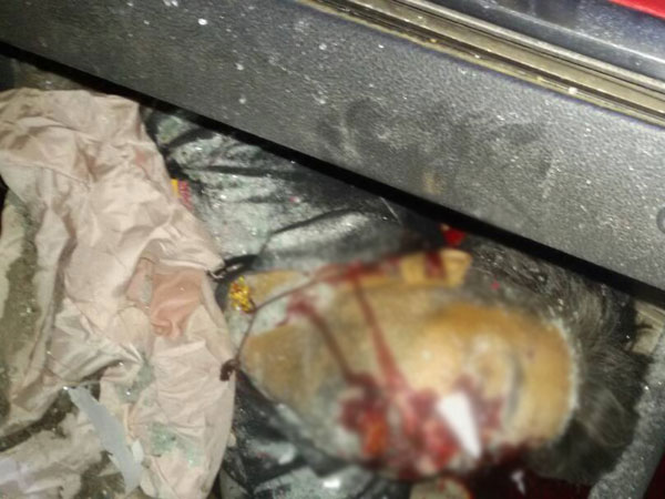 రెడ్ హ్యాండెడ్ గా దొరికిపోయి